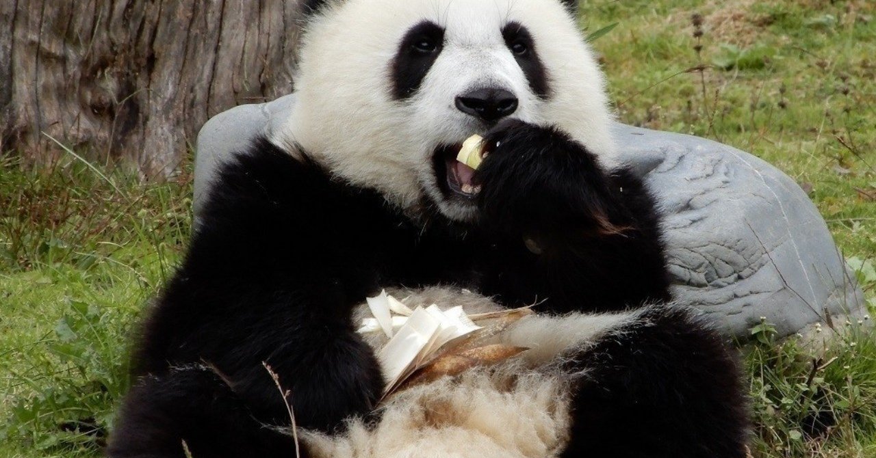 10月15日 舟崎克彦 自分にしかできないものの追求こそが 創作活動そのものと言っていいでしょう 久恒 啓一 Note