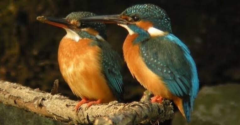 3d57e7dc89104b7f6495e3447cc94a