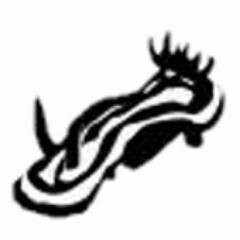 小奥（こーく）