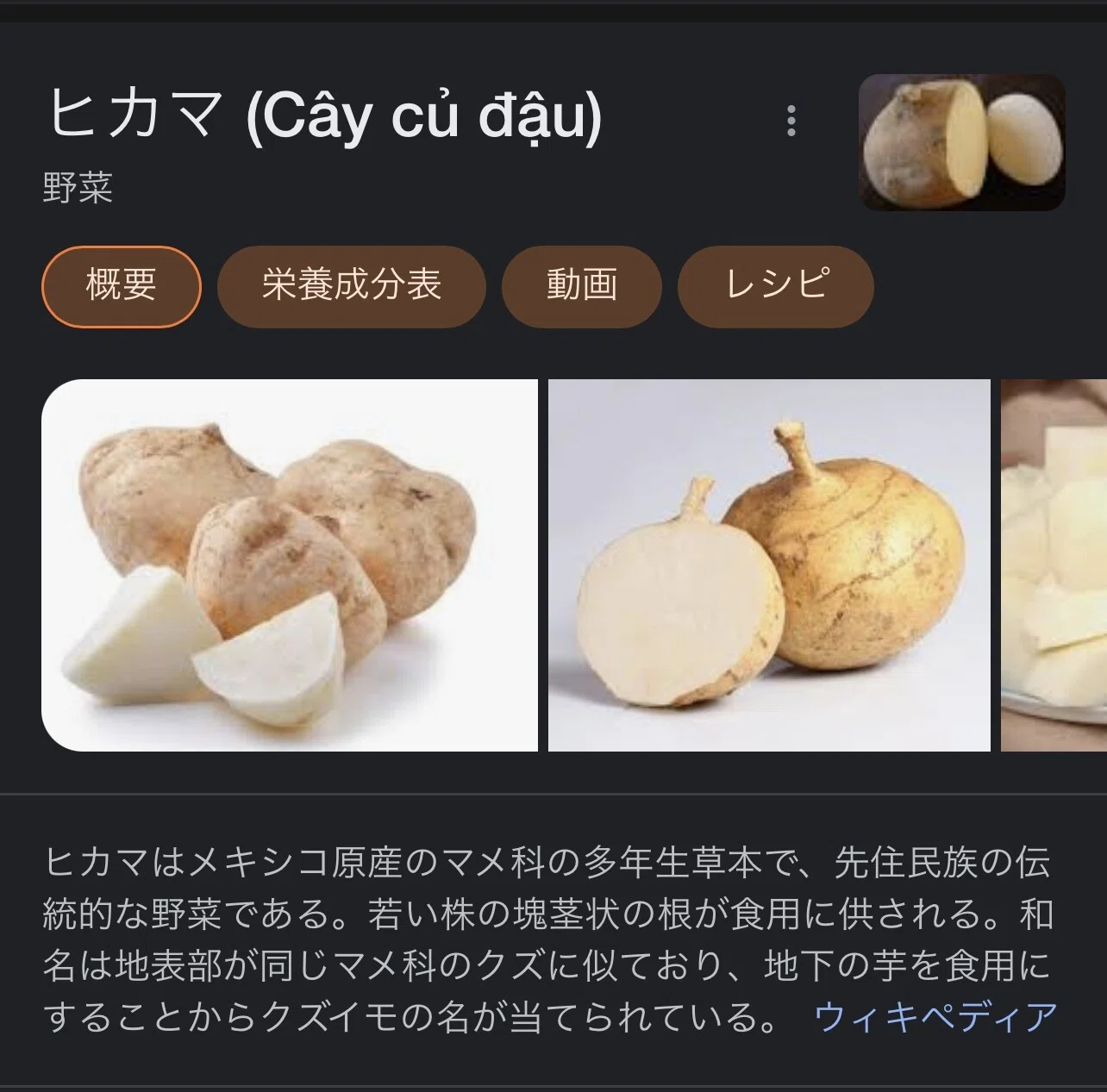 ベトナム ヒカマ 新鮮ヒカマ・C u - Vietnam Jikama 1kg