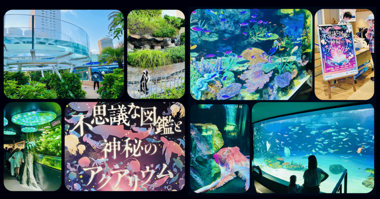 謎解きレビュー サンシャイン水族館 リアル謎解きゲーム 不思議な図鑑と神秘のアクアリウム すーさん リアル型脱出ゲーム 攻略レビュー Note 謎解きレビュー サンシャイン水族館 リアル謎解きゲーム 不思議な図鑑と神秘のアクアリウム すーさん リアル型脱出ゲーム 攻略レビュー Note