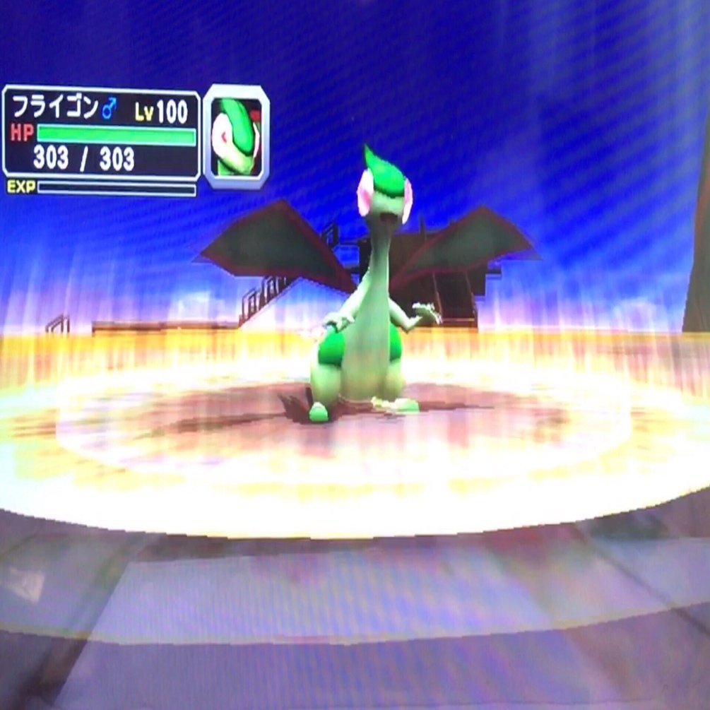 ポケモンコロシアム バトル山エリア10安定周回｜ツバサ