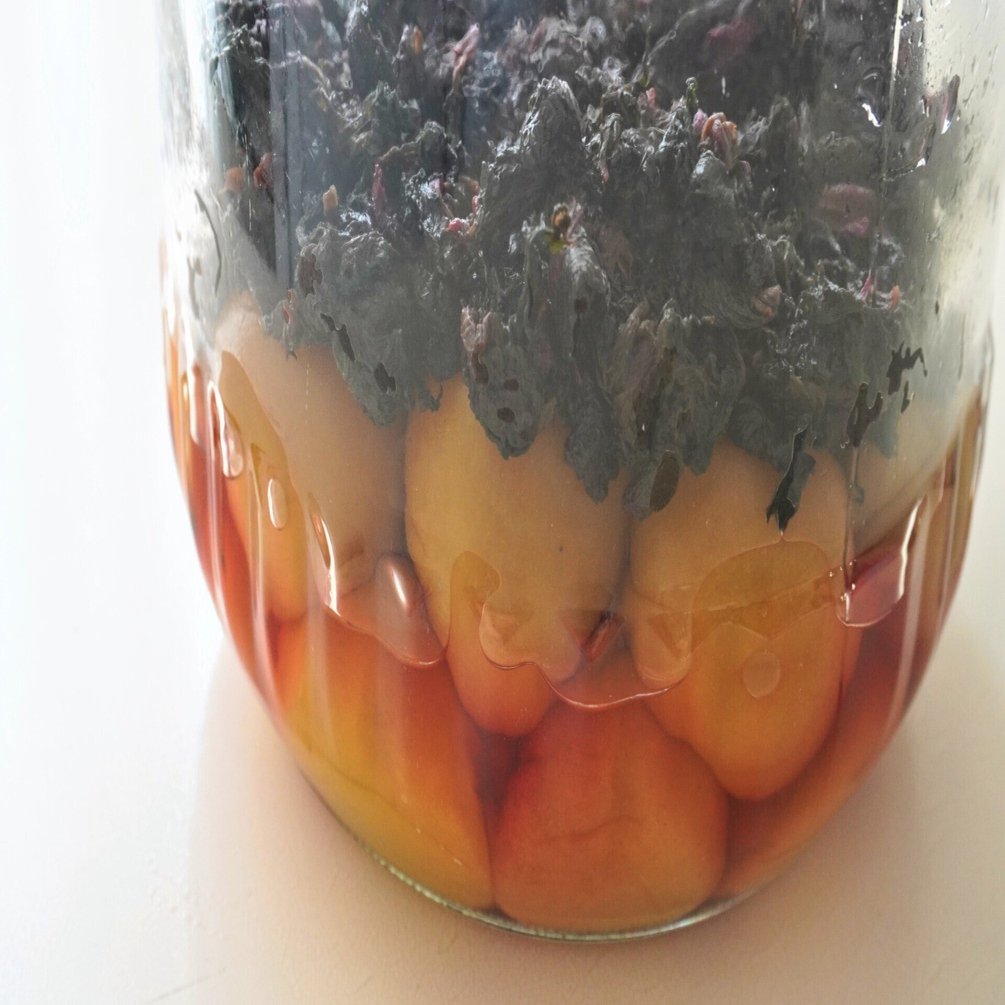 レシピ 梅干しを作りましょう 赤じそ漬け 食の工房オフィスアルベロ イタリア料理教室 In 神戸 Note