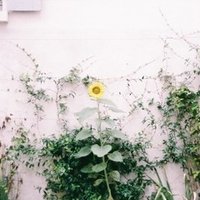 白水桃花にできること お仕事依頼について 白水 桃花 Note