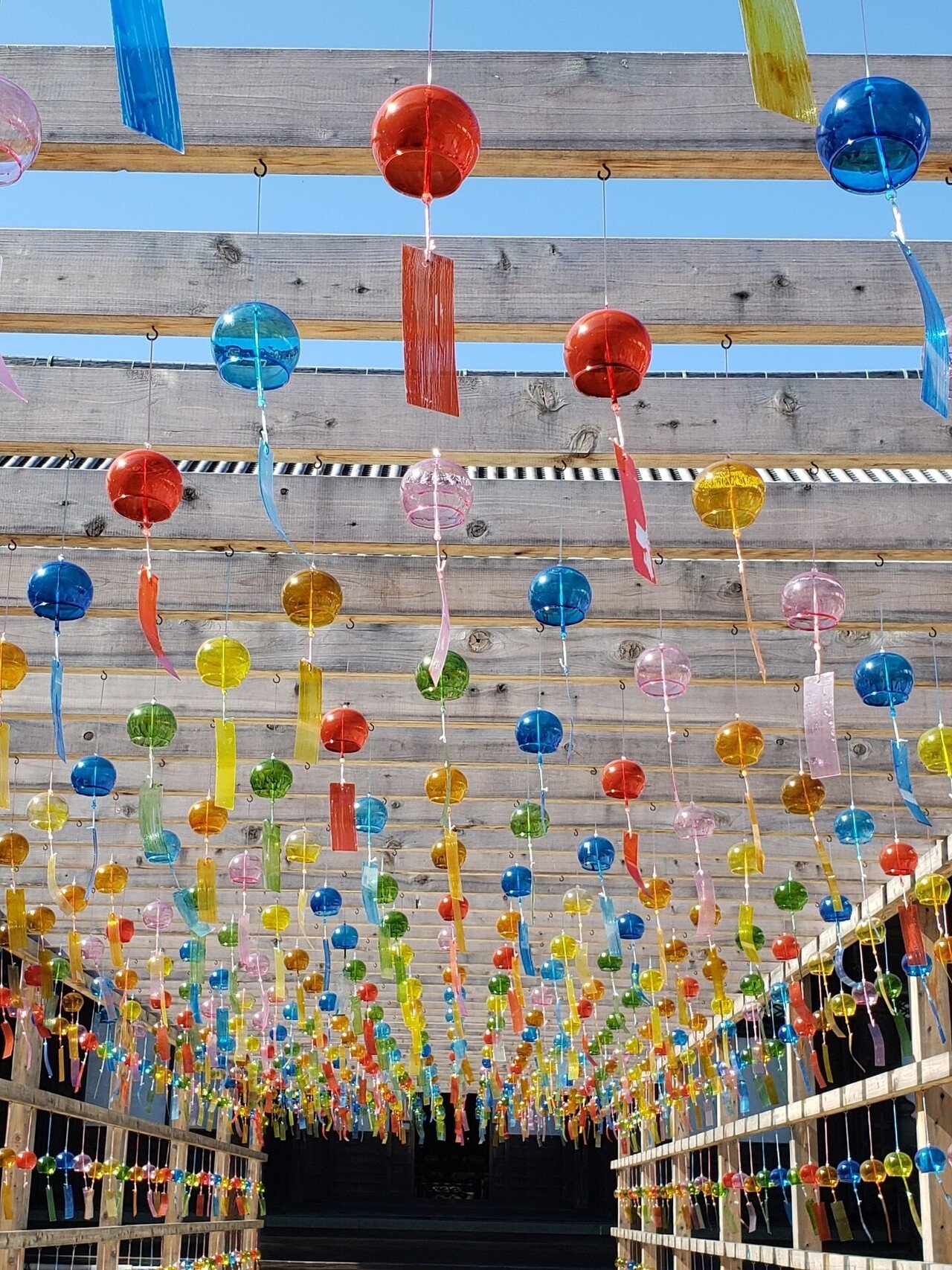 風鈴参道 in 西教寺【滋賀】｜ひばりん