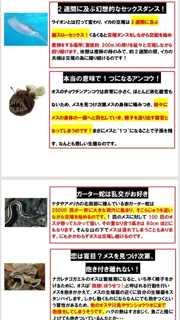 企画書3 動物の恋愛番組 山田ボールペン Note 企画書3 動物の恋愛番組 山田ボールペン Note