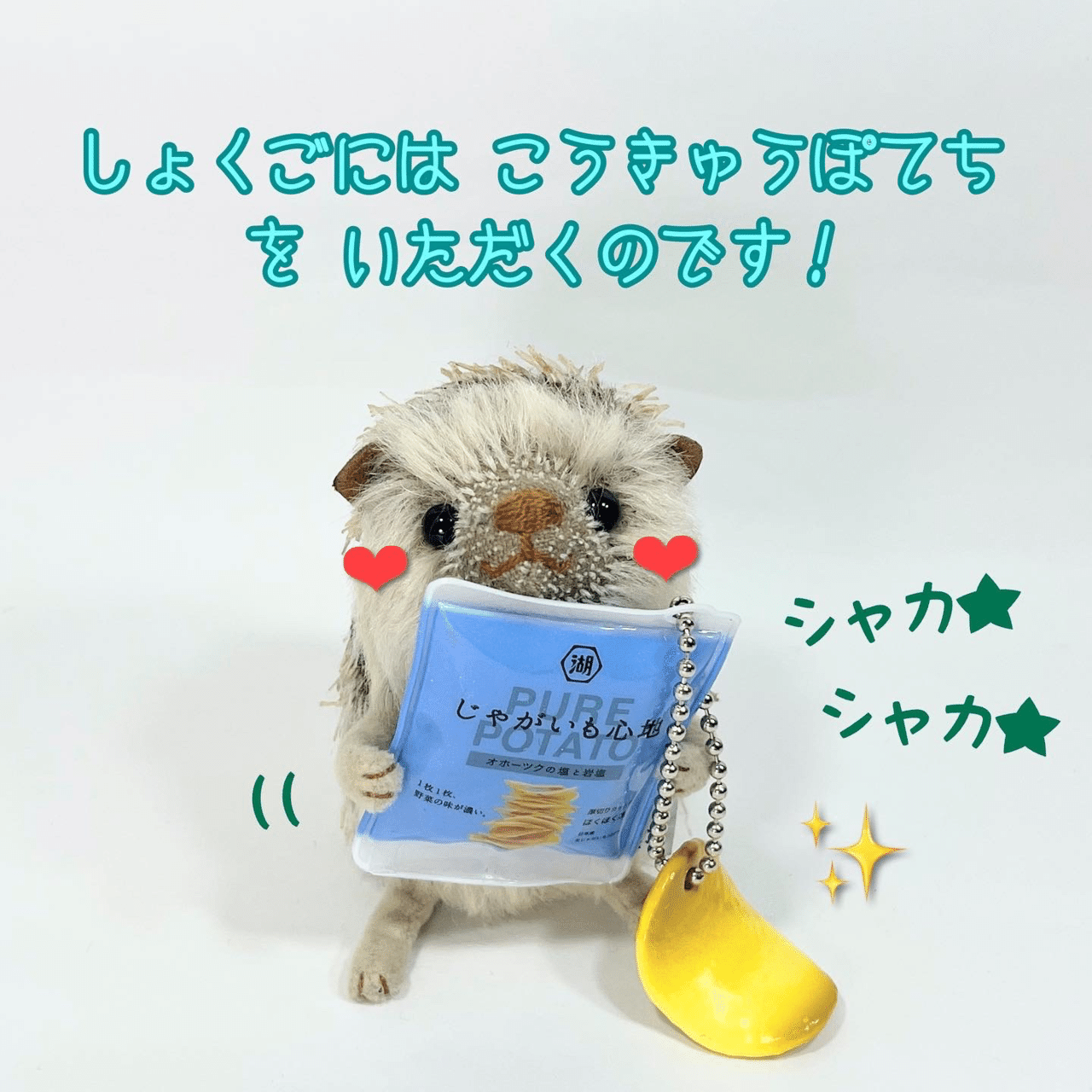 2022年 ぬい撮りコレクション｜くまこʕ•ᴥ•ʔ｜note