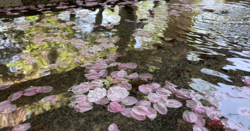 【ルーツ旅 #7】　花巻の新緑と美しい御朱印