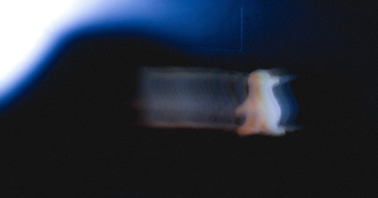 おっとっとのひみつ｜KT⚡️SNS最新情報／フォトグラファー