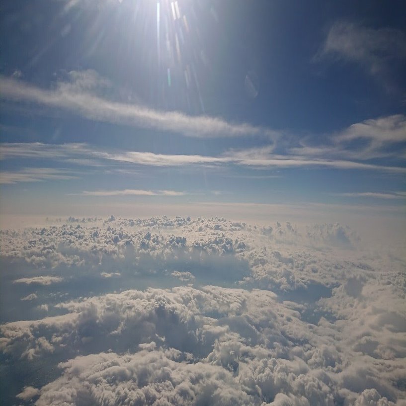 ANA オープンチケットの差額調整手順メモ｜ながとろ