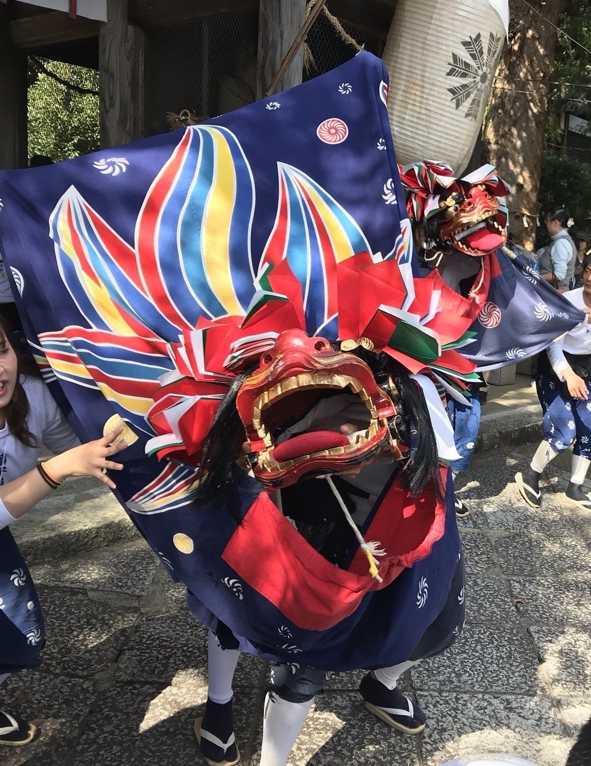 画像