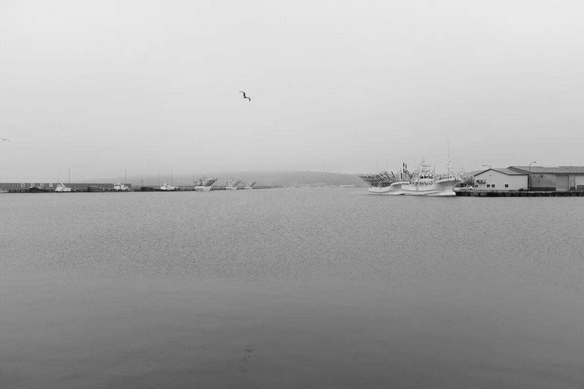 画像56