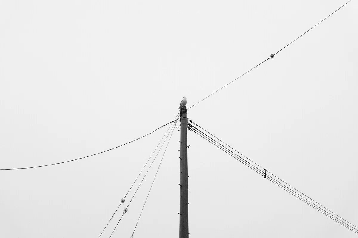 画像52