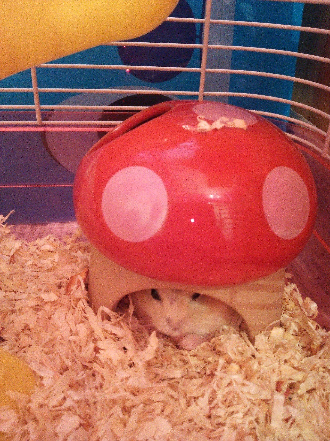 中高生のための短歌入門|AMANO Kei 中高生のための短歌入門|AMANO Kei