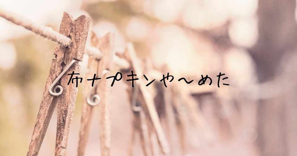 布ナプキンを辞めた理由とか市販ナプキンの話をするよ ロミロミ 布ナプキンを辞めた理由とか市販ナプキンの話をするよ ロミロミ