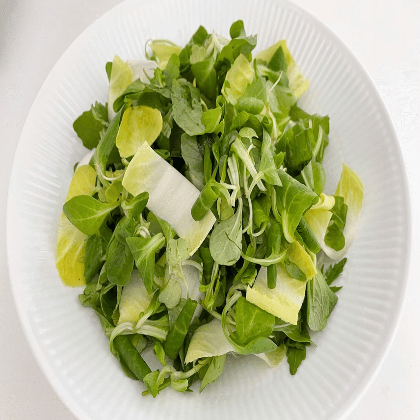 南仏の思い出。グジョンさんちのサラダ・再現レシピ｜松田やす恵