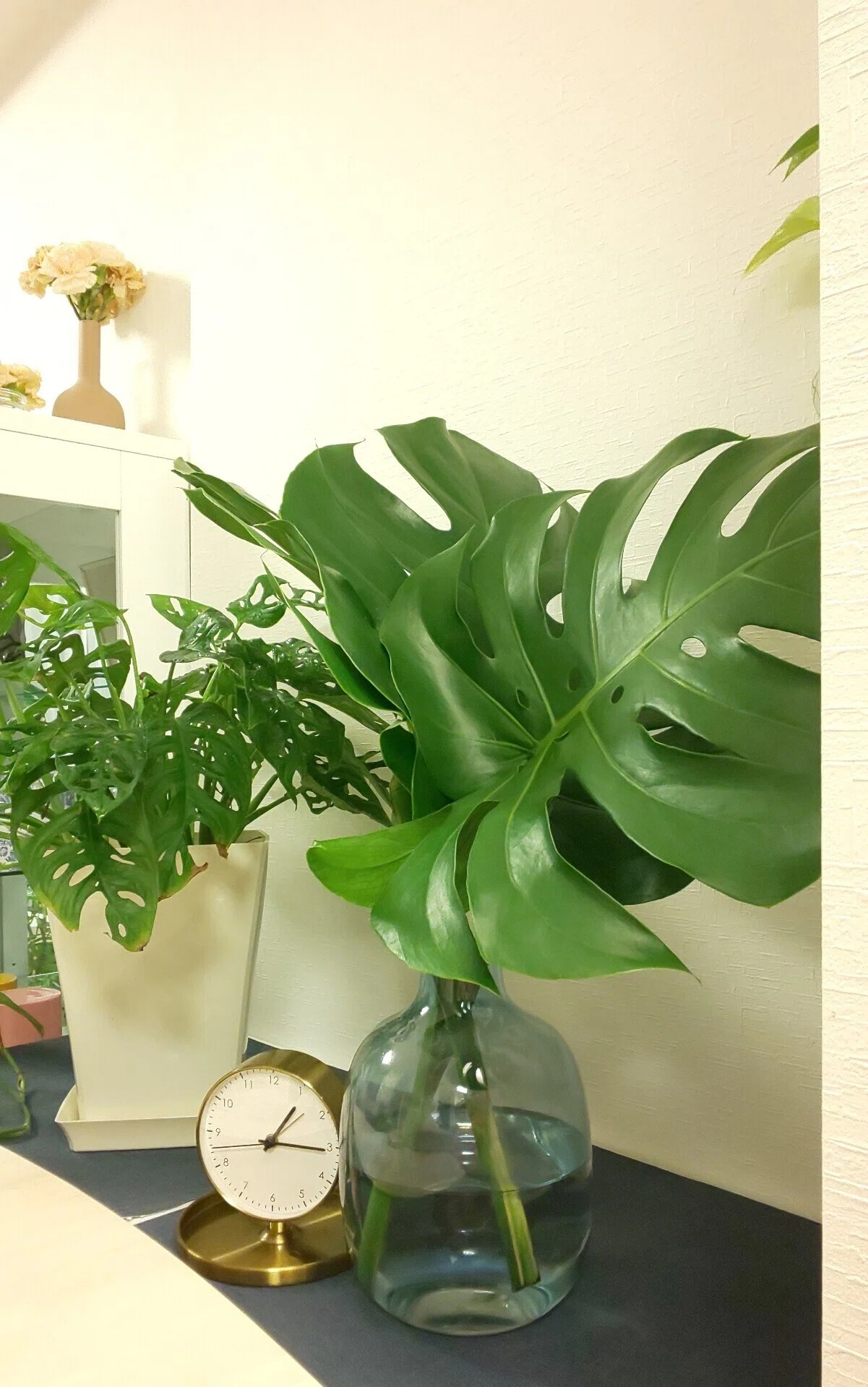 World Flower Kajigaya Store｜てんてこ
