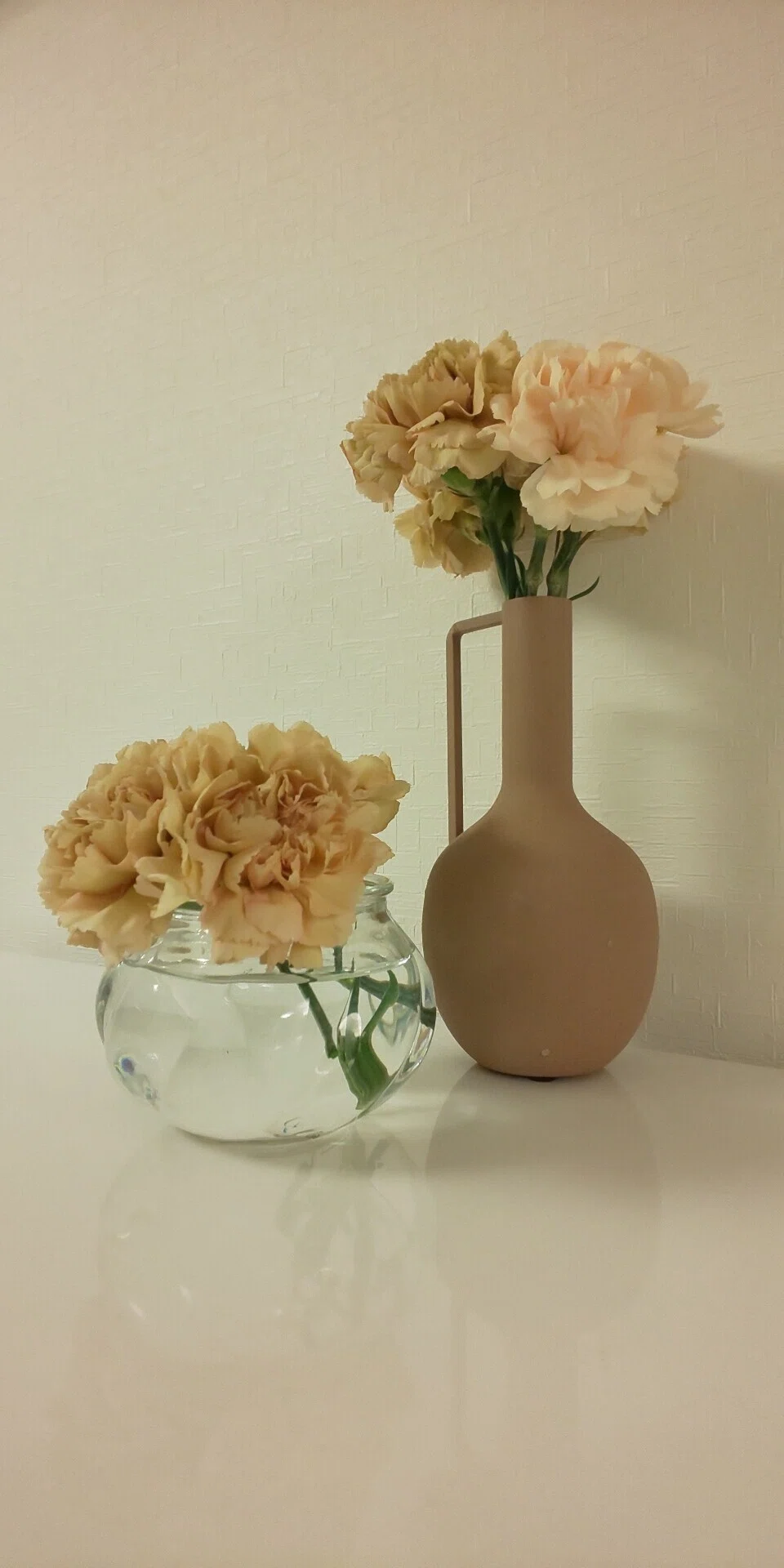 World Flower Kajigaya Store｜てんてこ