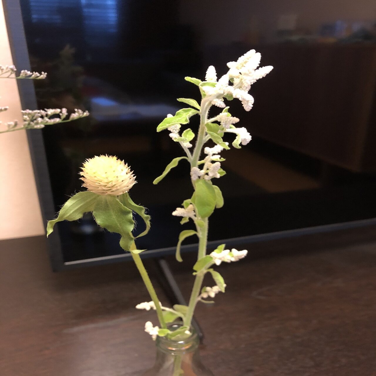 リシアンサスからシルバーキャットまで いとかよ Note