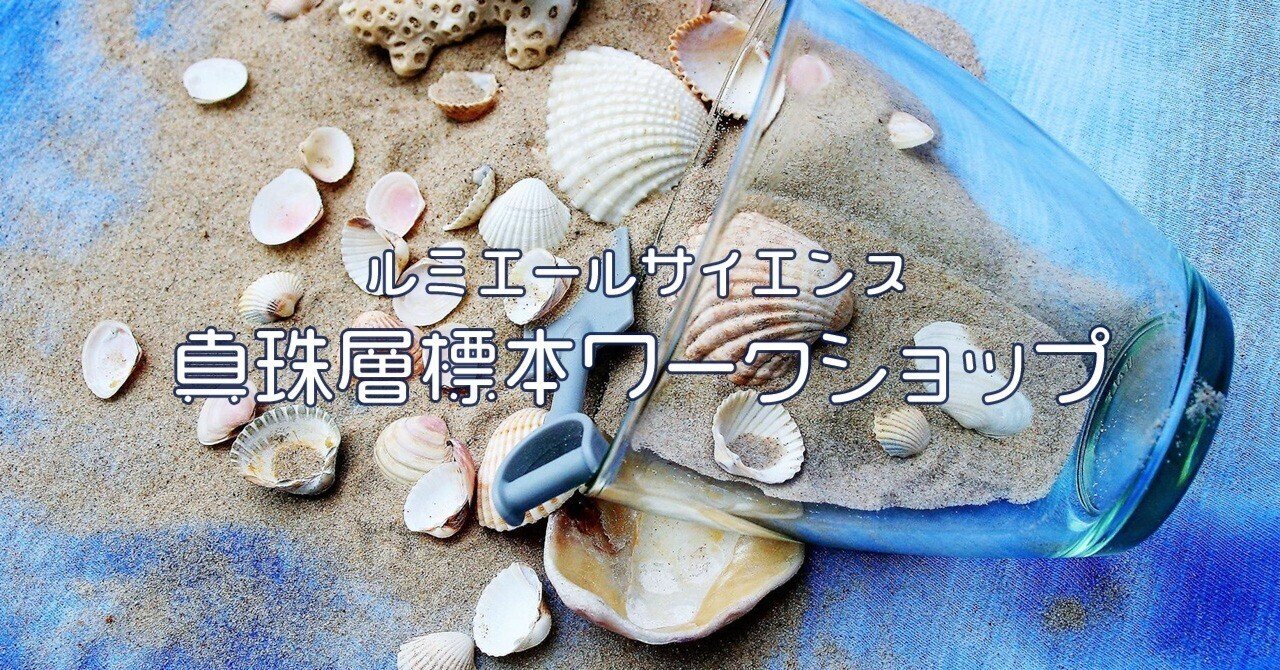 22夏イベント 貝殻の真珠層標本ワークショップ ルミエールサイエンス 横浜根岸 Art Room Lumiere Note