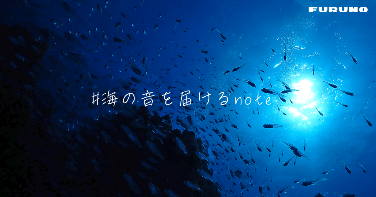 初めまして。海の音を届けるFURUNOのnoteです。｜海の音 - umi no oto 