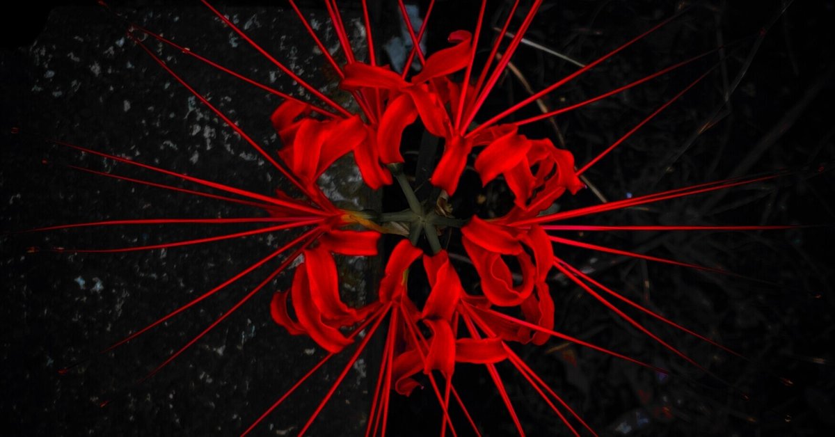 D⑦⓪ ダイゴのメタグロスex構築済みデッキ - メルカリ
