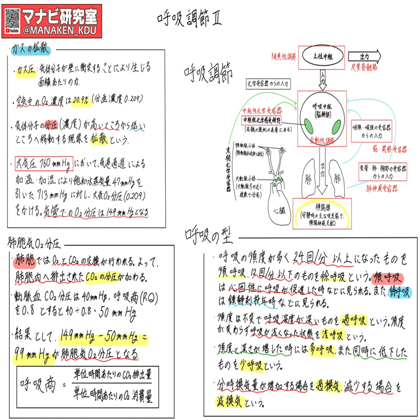 ガス交換の仕組み：講義グラレコ紹介 歯学科 呼吸調節Ⅱ 2022｜マナビ研究室