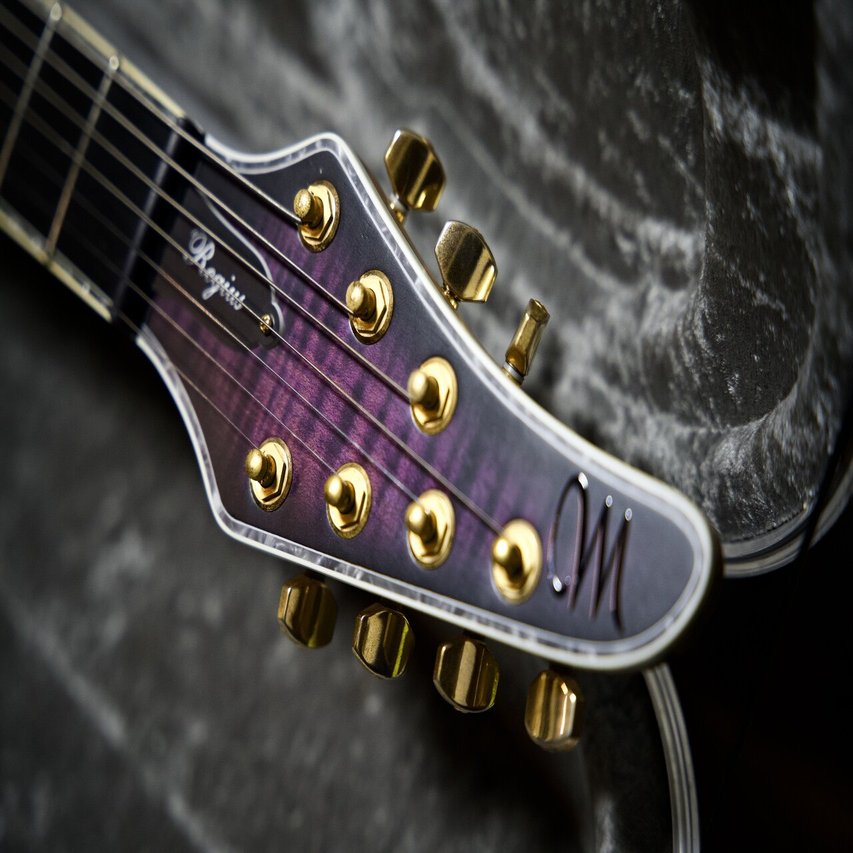 機材レビュー：Mayones Regius 7｜湊 Minato