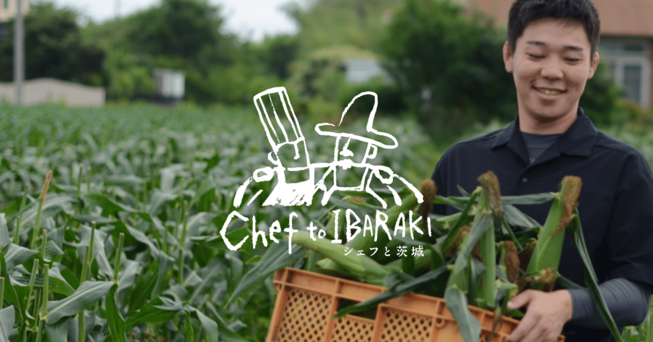 根性で負けない 朝採れトウモロコシの当日配達にこだわる 茨城県公式 シェフと茨城 根性で負けない 朝採れトウモロコシの当日配達にこだわる 茨城県公式 シェフと茨城