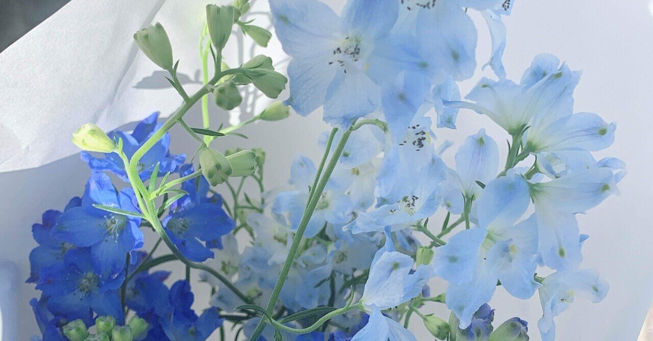 勝手に花言葉 デルフィニウム 青 水色 三毛亭穂翠 Note 勝手に花言葉 デルフィニウム 青 水色 三毛亭穂翠 Note