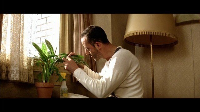 今日のnote 映画 Leon と 観葉植物と 東京からはじき出された頃の思い出 狭井八矢日 Sai Hayahi Note