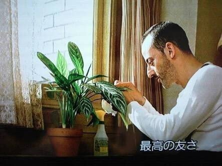今日のnote 映画 Leon と 観葉植物と 東京からはじき出された頃の思い出 狭井八矢日 Sai Hayahi Note