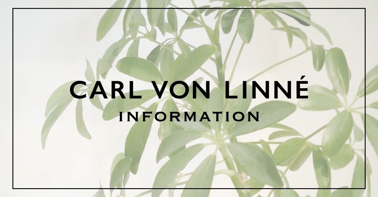 サステナブル アパレルブランド カール フォン リンネ 情報 Vol 8 新作のダウン素材カポックとは 中田敦彦オンラインサロン Progress マガジン Note サステナブル アパレルブランド カール フォン リンネ 情報 Vol 8 新作のダウン素材カポックとは 中田敦彦オンラインサロン Progress マガジン Note