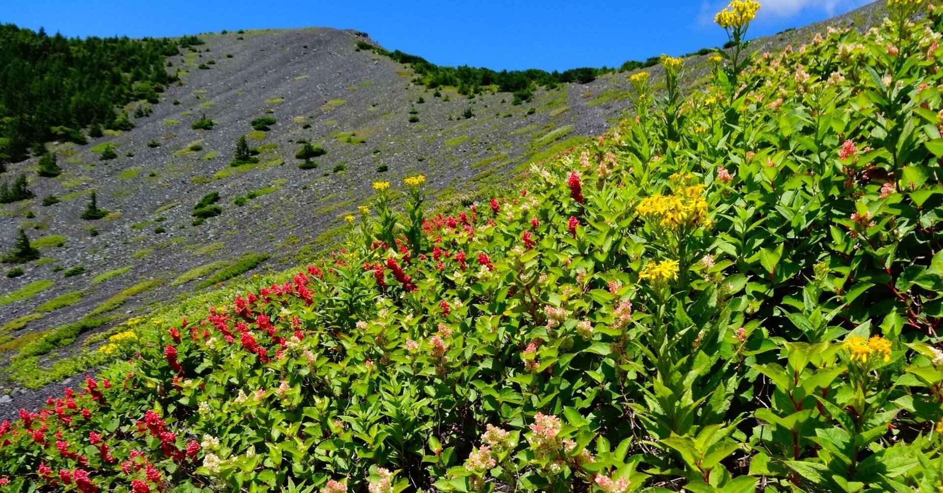 9968182c4d1f4e04531688dfc61122