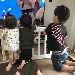 はるひだ
