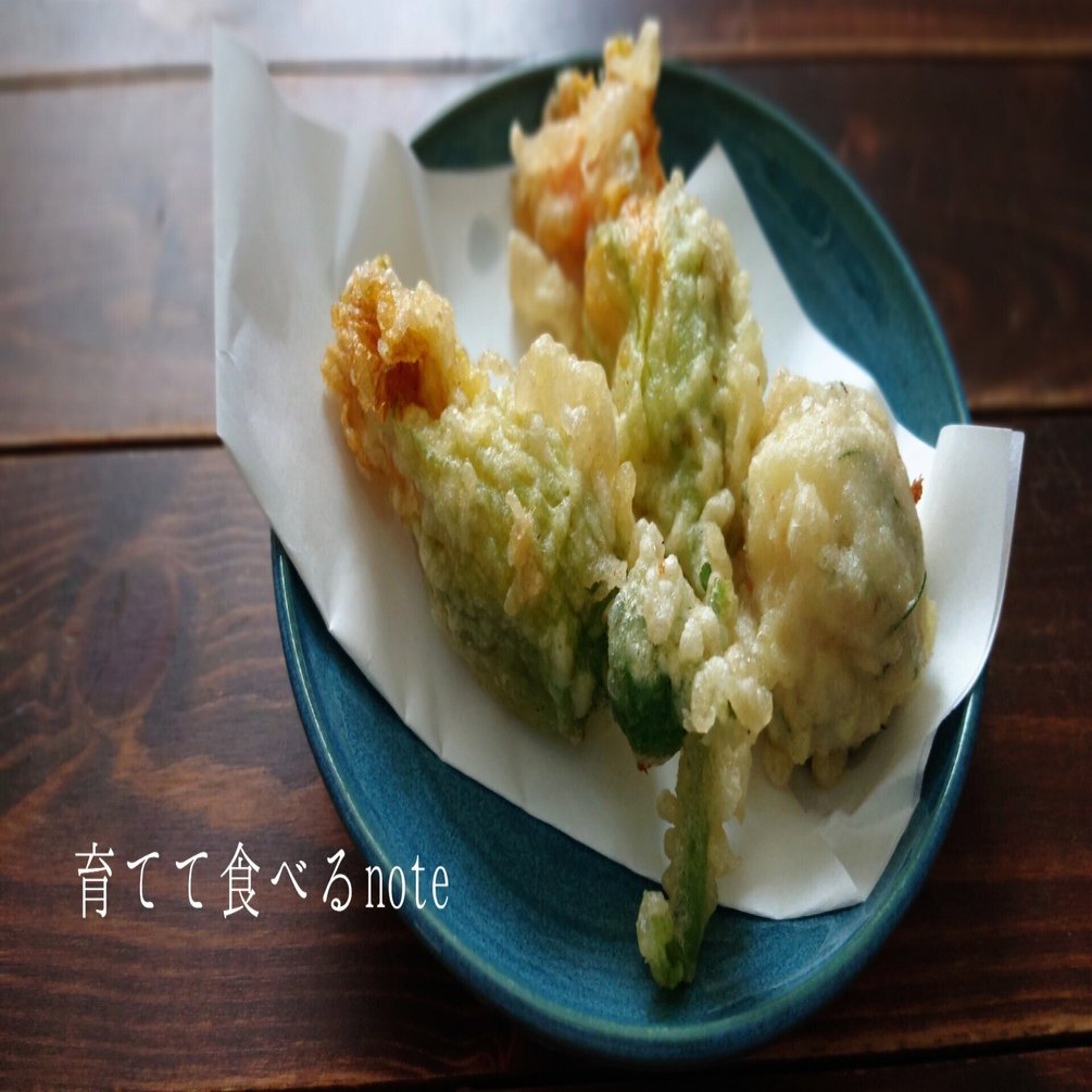 育てて食べるnote 花ズッキーニ 花かぼちゃの天ぷら つぐみ Note