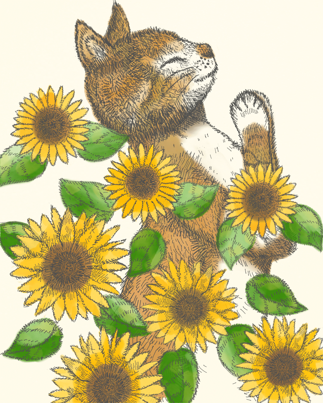 7月6日の誕生花はヒマワリ Yotoku Note