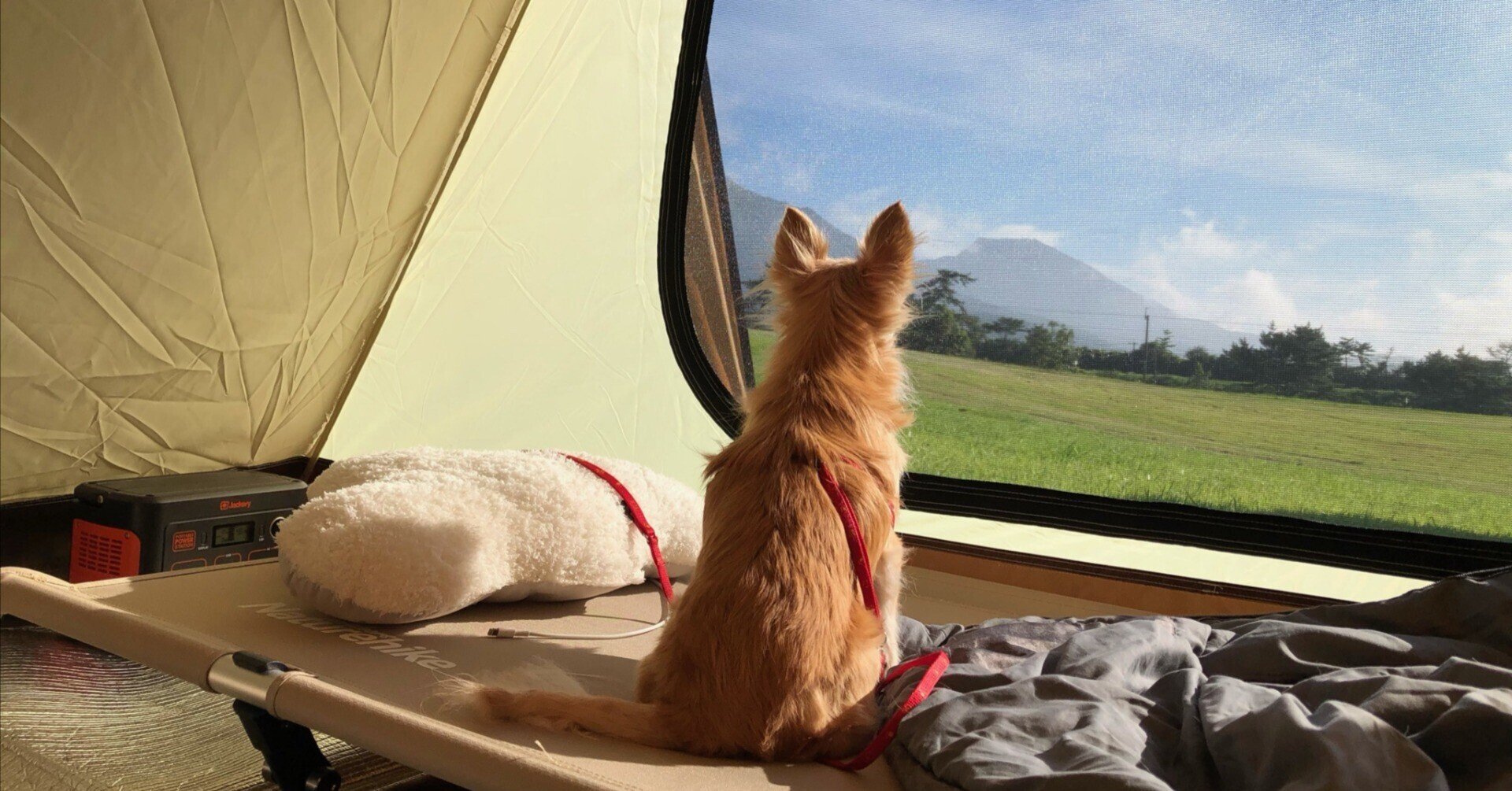 ネタバレ含 映画ゆるキャン でちくわが果たす作劇上の役割 煮卵 Note ネタバレ含 映画ゆるキャン でちくわが果たす作劇上の役割 煮卵 Note