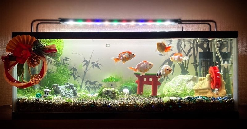 土佐錦 の新着タグ記事一覧 Note つくる つながる とどける 土佐錦 の新着タグ記事一覧 Note つくる つながる とどける