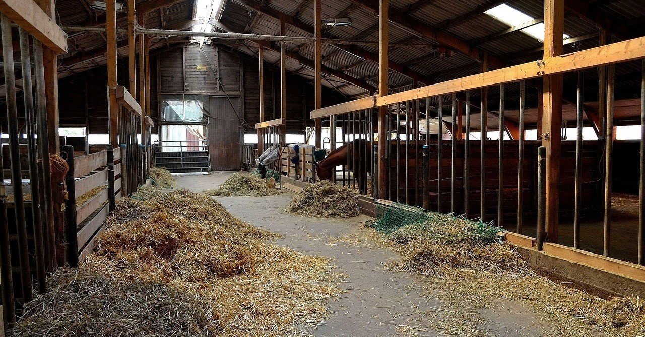 馬小屋香るビール Takizombie Note