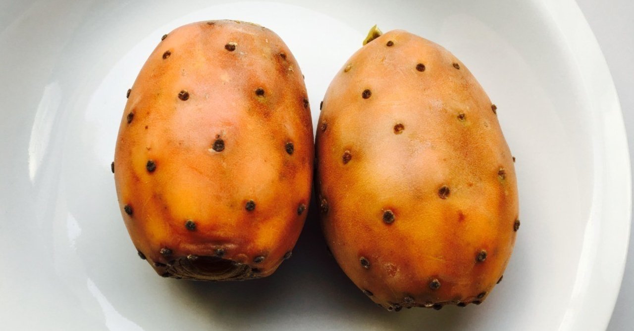 パリ節約自炊生活 ウチワサボテンの実 Yukakudo12 Note