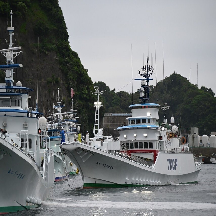 土佐の一本釣りが消える 漁獲量も漁船も激減 葉上太郎 地方自治ジャーナリスト 文藝春秋digital