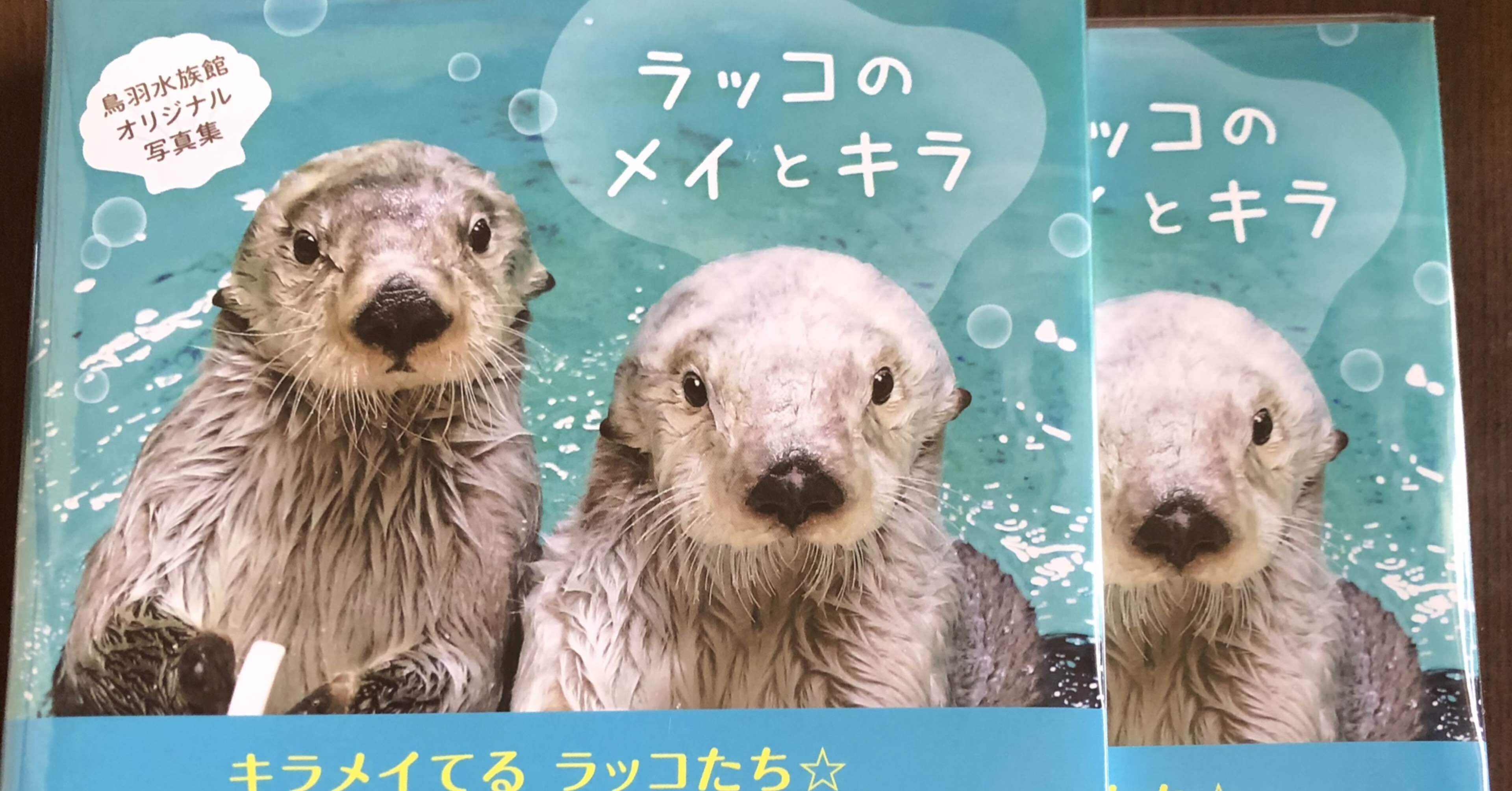 ラッコのメイとキラ　鳥羽水族館　オリジナル写真集