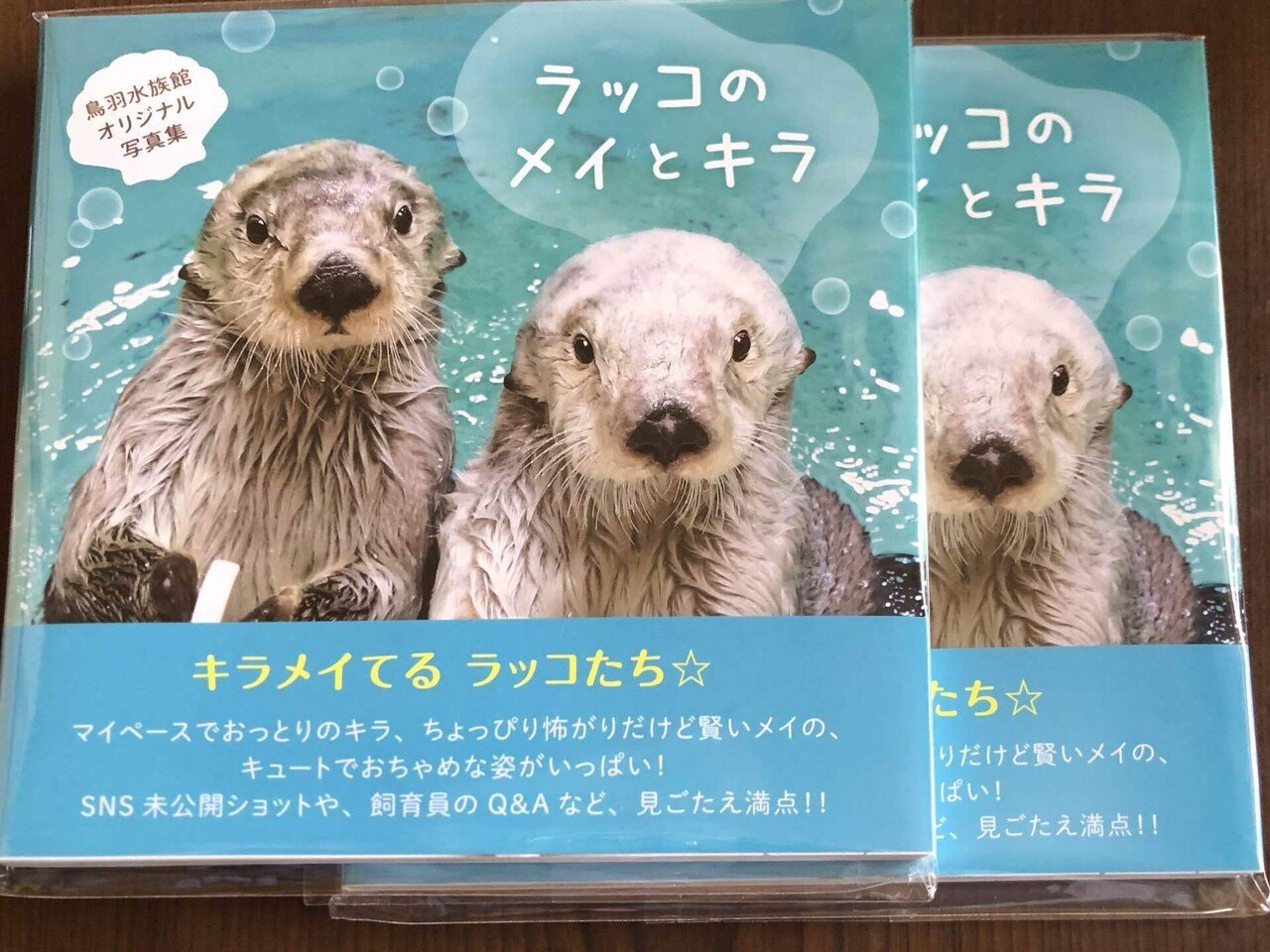 鳥羽水族館 ラッコメモリアルBOOK＋ブランケット-