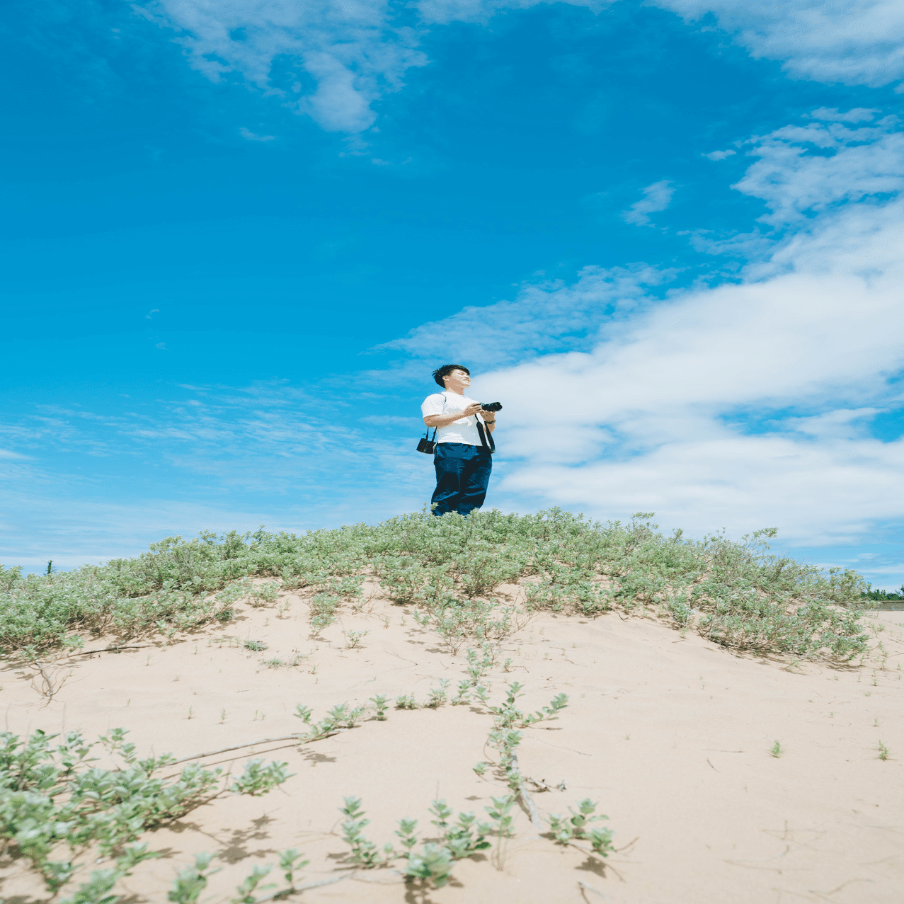 風景 ポートレート 186 Subaru Note