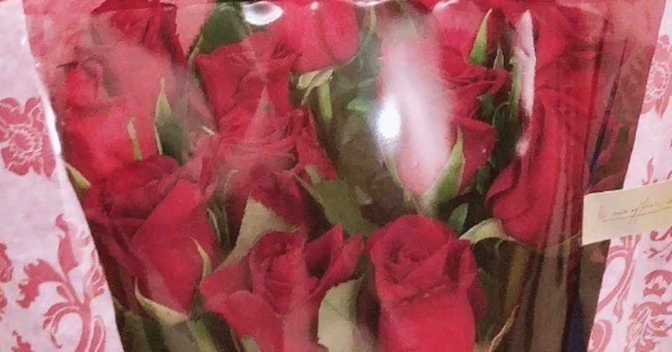 13分でデートを決めて 26時間で交際を始め 15日で婚約して 1ヶ月で結婚するまでの話 わんど Note