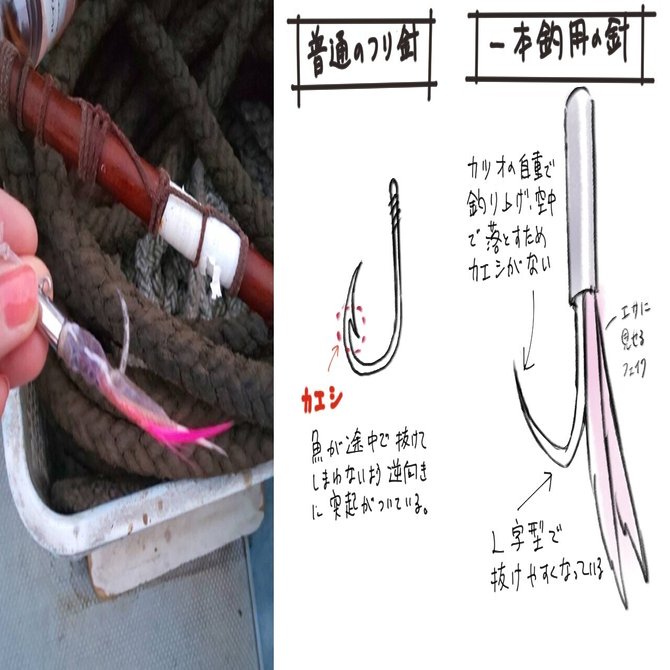 まるで魔法 宙を舞うカツオの群れ 大海原にロマンを求めて カツオの一本釣り Nami Angler Note