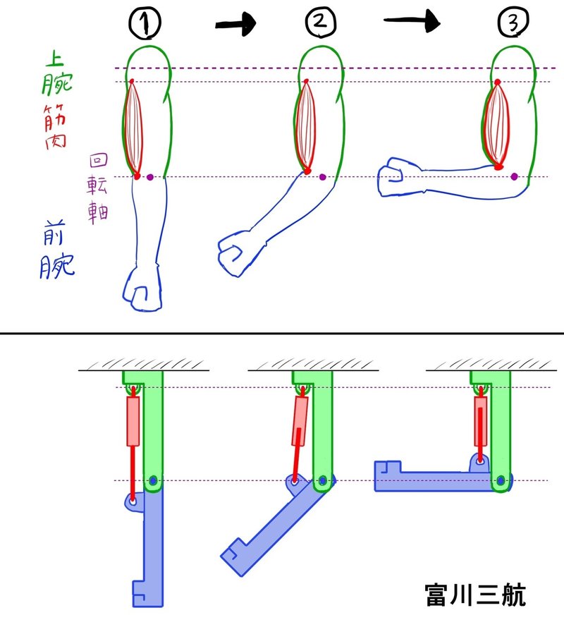人間を模したロボットの関節 アニメ イラスト マンガ向け とがわ Note
