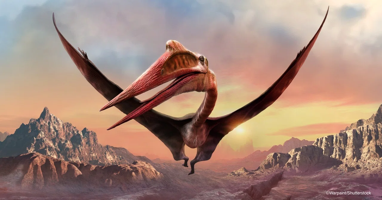 65. Could giant pterosaurs not fly!? New facts revealed by
