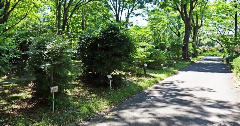 植物見本園を見て自分の理想の庭を妄想しちゃおう！